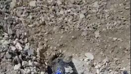 大货车闯红灯侧翻!小车瞬间被埋!致3人死亡！