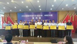 铜陵上峰:连续9年上榜“地方企业50强”！