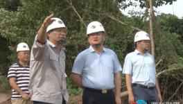 韶峰南方绿色建材产业园项目加紧推进中！