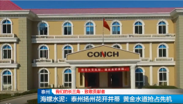 海螺这两家公司产能，水泥粉磨领先！