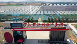 巧用水泥余热，工业转型反哺农业！