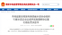 陕西水泥协会及13家水泥企业被罚4.51亿！
