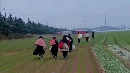 反扑！多省工地停工！水泥厂停发！商混站“告急”！