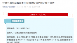公告！多家水泥厂被卖！