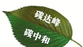 缝出匠心！这家环保企业脱颖而出！市场占有率名列前茅！