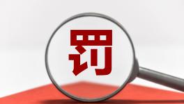 违规！海螺、华润、红狮等40多家水泥厂被罚！